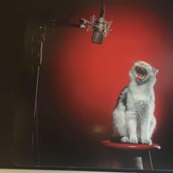 Şule Yüksel — professional voice over artist on VoiceBros