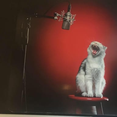 Şule Yüksel — professional voice over artist on VoiceBros